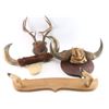Image 1 : Lot of Misc. Horn Mounts
