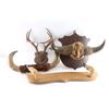 Image 2 : Lot of Misc. Horn Mounts