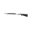 Image 2 : Remington Nylon 66 .22 LR #2114948
