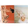 Image 4 : Lot of Nude Vargas Prints.