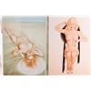 Image 5 : Lot of Nude Vargas Prints.