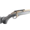 Image 6 : Ruger American .17 HMR #83568954