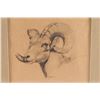 Image 2 : Original Drawing of Mountain Sheep Bust.
