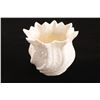 Image 2 : Fancy Blanc d' Chin Belleek Vase.