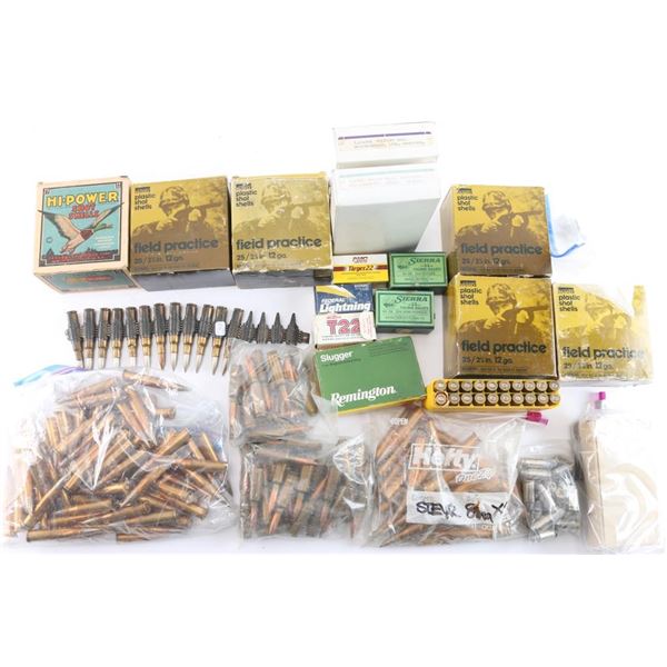 Shotgun and Rifle Ammo Lot