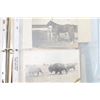 Image 3 : Lot of Paper Collectibles.