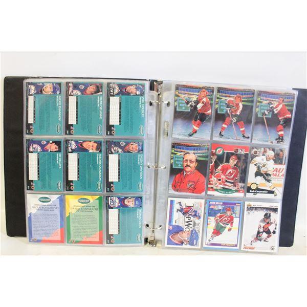 BINDER ALL HOCKEY APPROX 234 CARDS