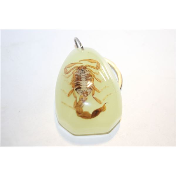 SCORPION KEY CHAIN ENCASED