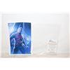 Image 1 : AUTOGRAPHED WITH COA CERTIFICATE IRON MAN