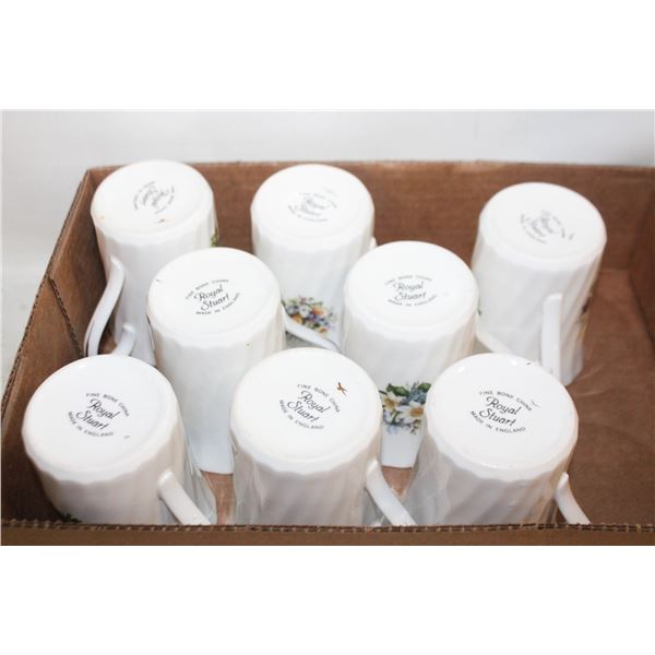 8PC ROYAL STUART FINE BONE CHINA CUPS