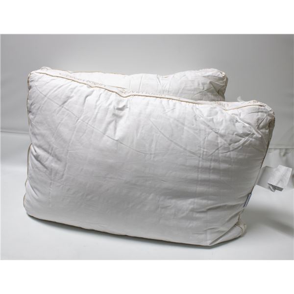 2 PACK OF CALVIN KLEIN QUEEN SZ PILLOWS