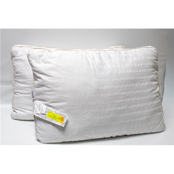 2 PK CALVIN KLEIN QUEEN DOWN ALTERNATIVE PILLOWS