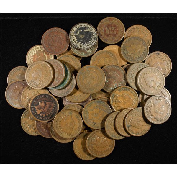 (50) INDIAN HEAD CENTS