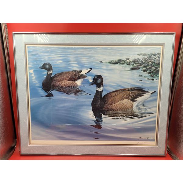 Framed & Signed Duck Print by Bruce Muir