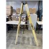 Image 1 : 68" ALLRIGHT METAL LADDER