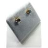 Image 2 : 14KT YELLOW GOLD NATURAL ZIRCON (0.70CT) EARRINGS, W/A $900.00.