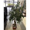 Image 1 : FAKE TREE AND WICKER BASKET