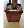 Image 2 : FAKE TREE AND WICKER BASKET