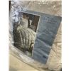 Image 3 : COMFORTER AND STANDARD QUEEN PILLOW
