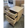 Image 4 : PAIR OF 2 DRAWWER ROLLING ORGANIZERS WITH KEYS