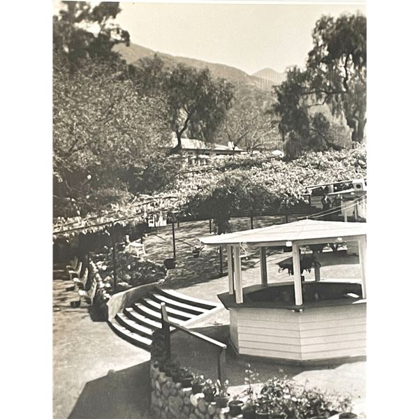 Sierra Madre Wistaria Vine Gardens vintage photo