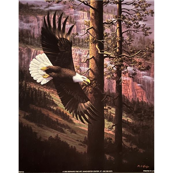 Bald Eagle Art Print