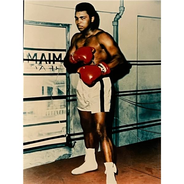 Boxer Muhammed Ali Unsigned Photo
