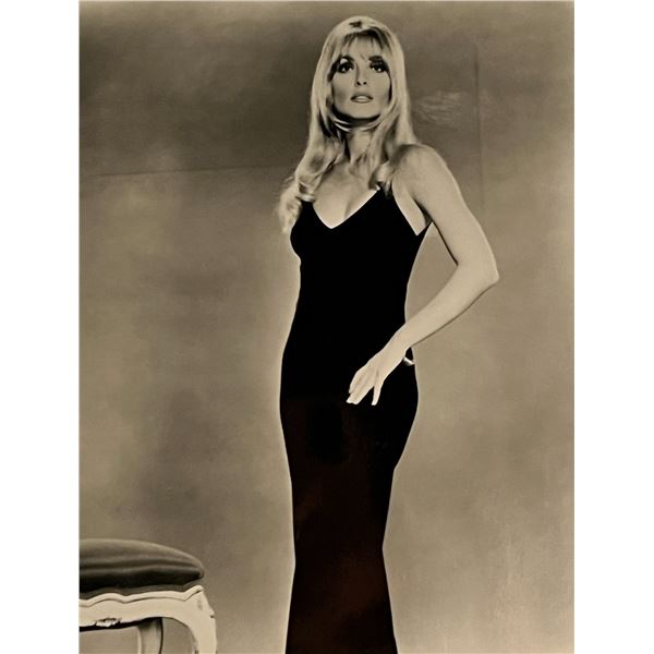 Valley of the Dolls Sharon Tate Unsigned Photo