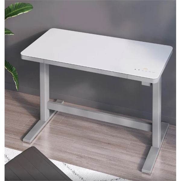 Tresanti geller 47 inch adjustable height desk
