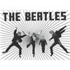Image 2 : Vintage Image- 8x10 Photo Of Beatles