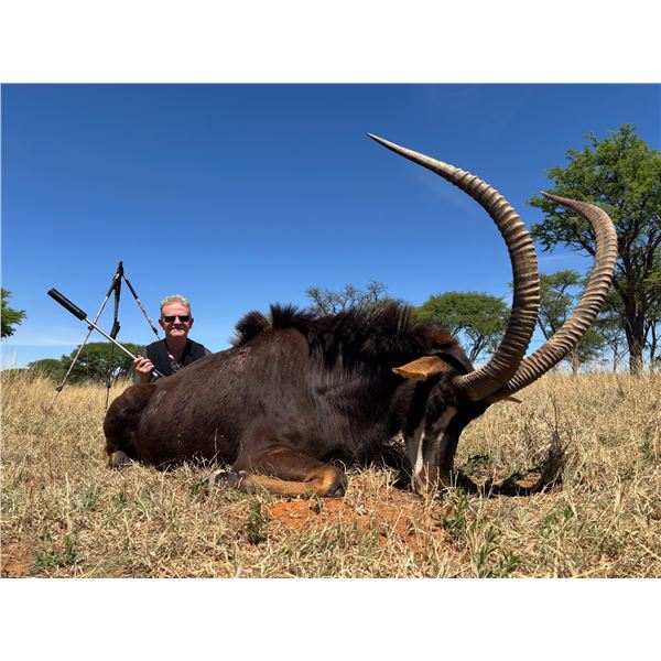 South Africa - 2 hunters; 2 Sable