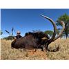 Image 1 : South Africa - 2 hunters; 2 Sable