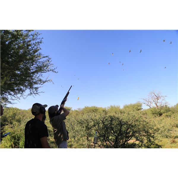 Argentina - Dove Hunt. 4 hunters/ 3 days/4 nights