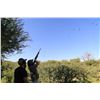 Image 1 : Argentina - Dove Hunt. 4 hunters/ 3 days/4 nights