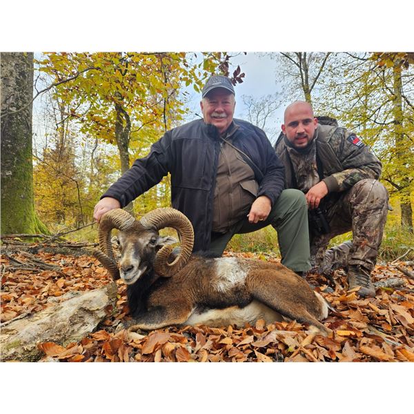 Big Game in Croatia - European Hunting Adventures