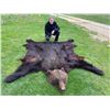 Image 4 : Big Game in Croatia - European Hunting Adventures