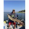 Image 1 : Yellow Dog Lodge - NWT Fishing  - 3 nights for 2 people