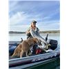 Image 4 : Yellow Dog Lodge - NWT Fishing  - 3 nights for 2 people