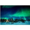 Image 5 : Yellow Dog Lodge - NWT Fishing  - 3 nights for 2 people