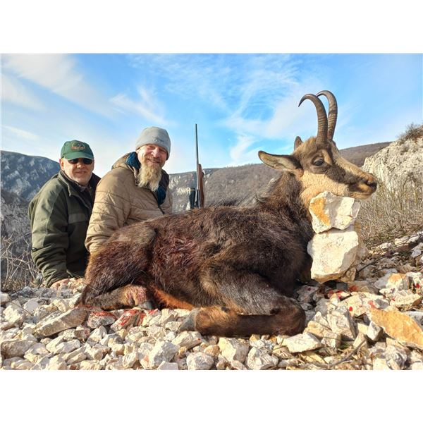 Chamois (Balkan or Carpathian) in Serbia - European Hunting Adventures