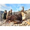 Image 1 : Chamois (Balkan or Carpathian) in Serbia - European Hunting Adventures