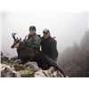 Image 4 : Chamois (Balkan or Carpathian) in Serbia - European Hunting Adventures