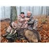 Image 5 : Chamois (Balkan or Carpathian) in Serbia - European Hunting Adventures