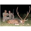 Image 1 : Patagonia Big Game Hunt - Catena Safaris Argentina