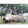 Image 2 : Patagonia Big Game Hunt - Catena Safaris Argentina