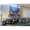 Image 6 : Large quantity of various oils, and everything on the shelf.