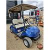 Image 3 : Golf Cart : 2012 Yamaha Drive G29 (Blue) VIN: JW9-101160 (Electric)