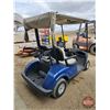 Image 5 : Golf Cart : 2012 Yamaha Drive G29 (Blue) VIN: JW9-101160 (Electric)