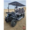 Image 1 : SDLANCH 2026 Electric 6-Seater Golf Cart (Black) : SDLC100