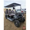 Image 3 : SDLANCH 2026 Electric 6-Seater Golf Cart (Black) : SDLC100